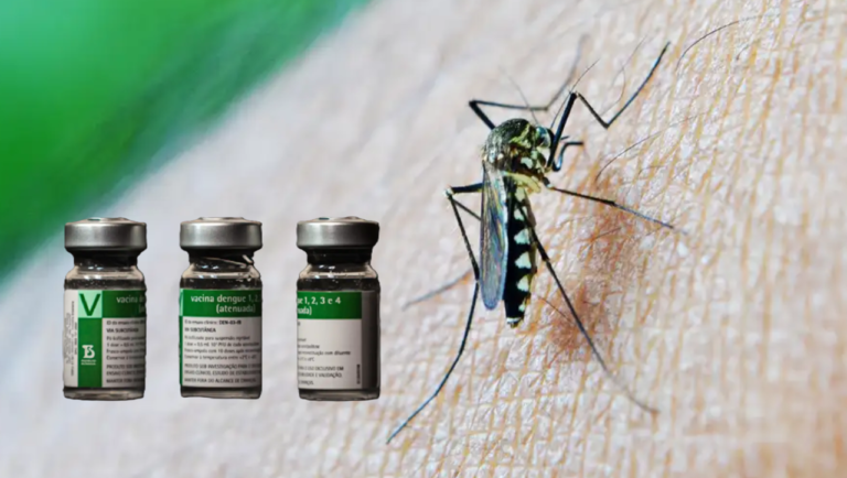 dengue-vacina-768x434 Vai Vendo Brasil Portal de Notícias