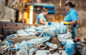 imagem_500kb-300x193 Vai Vendo Brasil Portal de Notícias