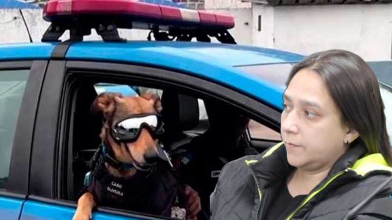 Defesas e peripécias tragicômicas da vereadora Roberta Lima