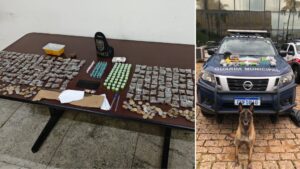 Gama-Hoje-300x169 Vai Vendo Brasil Portal de Notícias