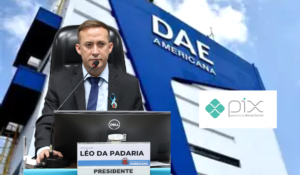 LEO-DAE-PIX-300x175 Vai Vendo Brasil Portal de Notícias