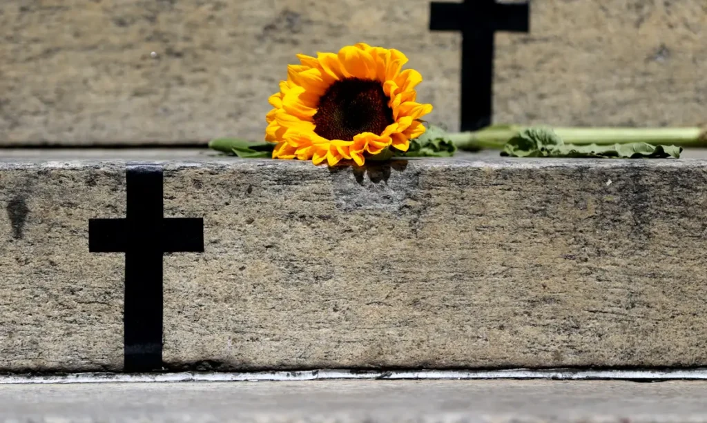 trbr0427-1024x613 Caso de Itumbiara acende alerta para violência vicária; entenda