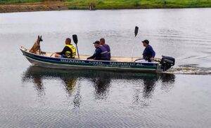 Piracema-01-300x183 Vai Vendo Brasil Portal de Notícias