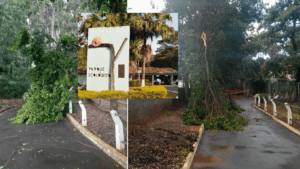 PQ-eco-300x169 Vai Vendo Brasil Portal de Notícias