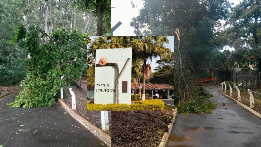 Pq-Ecologico-1024x578 Parque Ecológico de Americana fica fechado para manutenção na manhã desta sexta após fortes chuvas