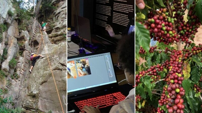 Do café aos jogos eletrônicos, SP Produz fortalece e diversifica cadeias produtivas da região de Campinas