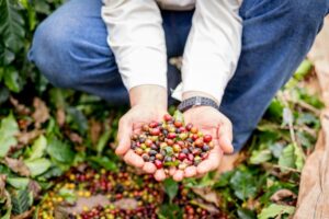 cafe-Paulista-300x200 Vai Vendo Brasil Portal de Notícias