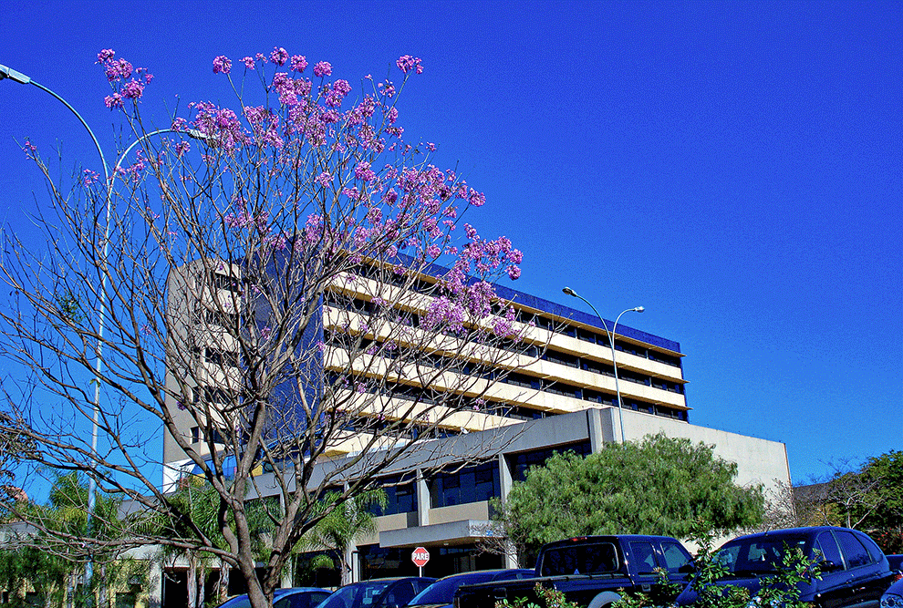 Hospital-de-Sumare Hospital Estadual de Sumaré entre os melhores do Brasil em ranking nacional do SUS