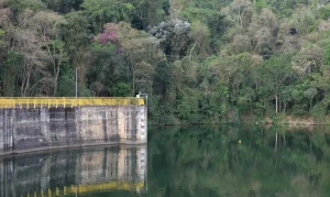 0g0a5579-300x179 Vai Vendo Brasil Portal de Notícias