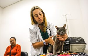 1-Ano-Meu-Pet-01-300x190 Vai Vendo Brasil Portal de Notícias