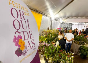FESTIVAL-DAS-ORQUIDEAS-1-300x214 Vai Vendo Brasil Portal de Notícias