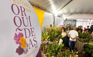 FESTIVAL-DAS-ORQUIDEAS-1-e1780801671773-300x184 Vai Vendo Brasil Portal de Notícias