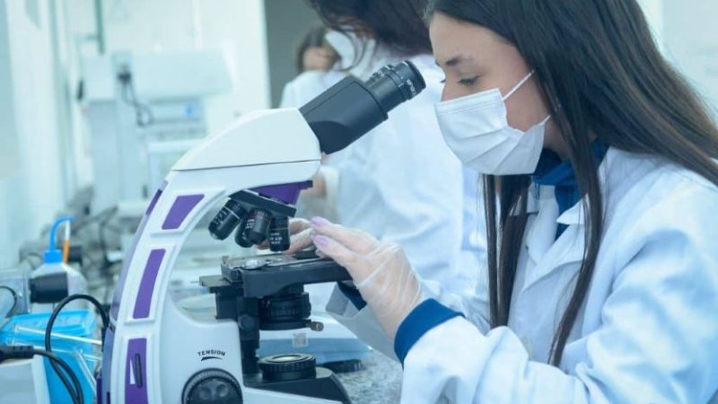 Cientistas propõem medidas para conter avanço de fungos resistentes a medicamentos