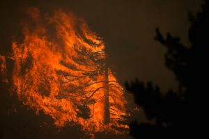 Fogo-floresta-300x200 Vai Vendo Brasil Portal de Notícias