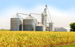 Agro-300x187 Vai Vendo Brasil Portal de Notícias