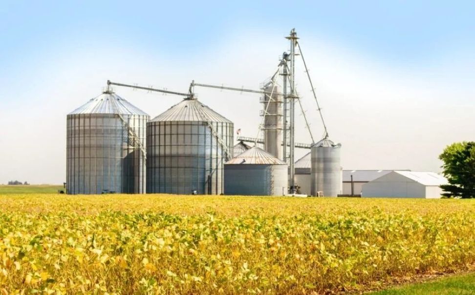 Agro Senado aprova plano para fabricação de fertilizantes no Brasil